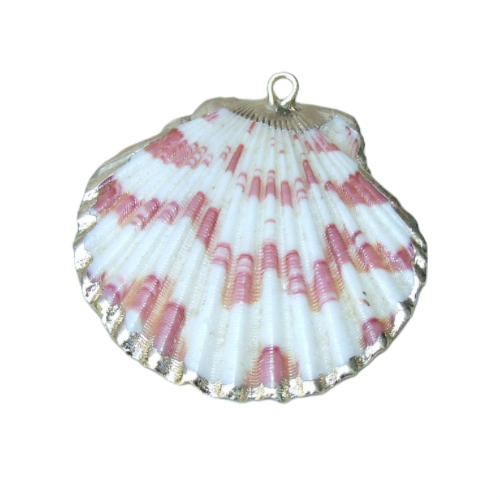 Charms | Costal