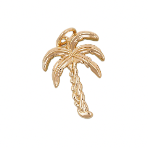 Charms | Costal