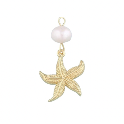 Charms | Costal