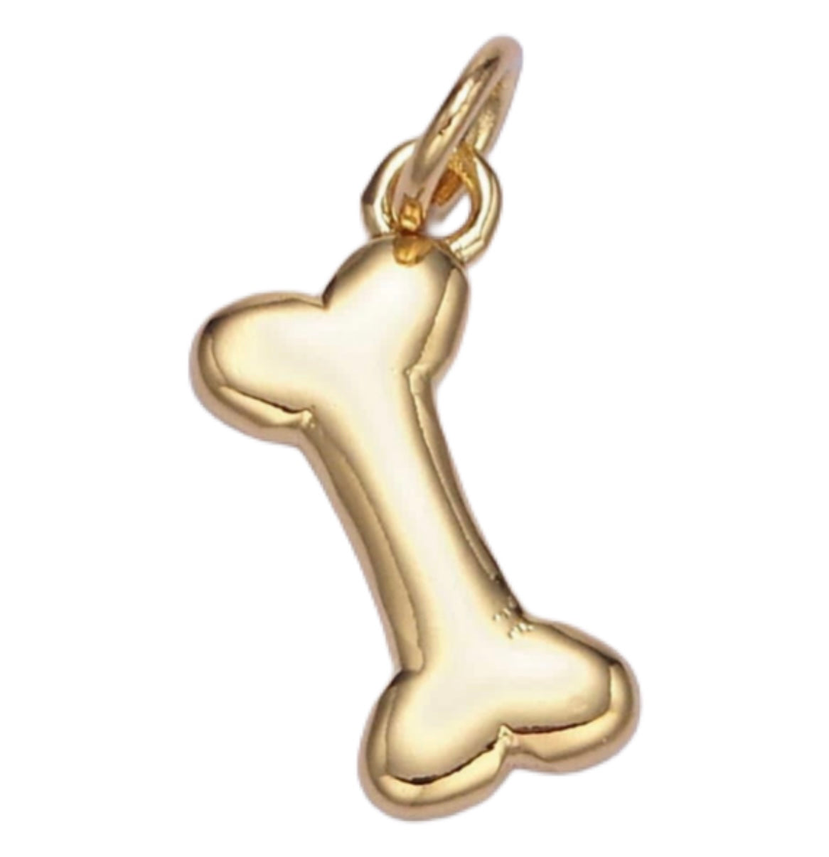 Charms | Pet Lover